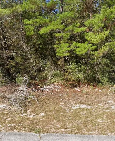 $9,000 | Oxford Avenue, Chipley, FL 32428