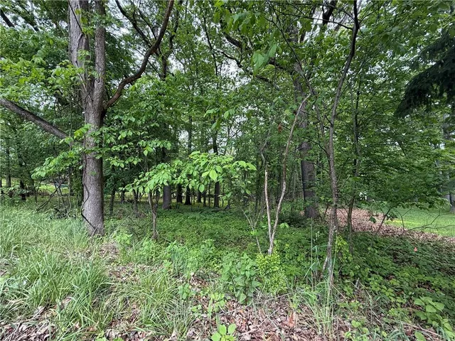 a green field with lots of trees