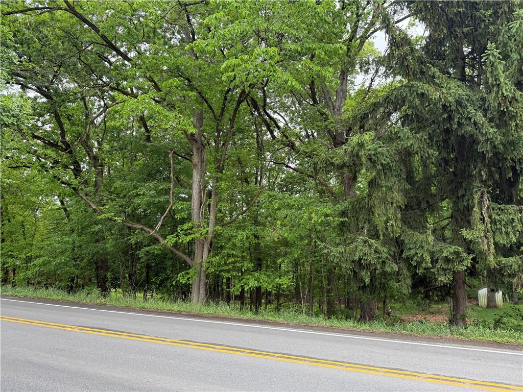 747 Wexford Bayne Road Wexford, PA 15090 - Photo 3 of 15 a view of a yard