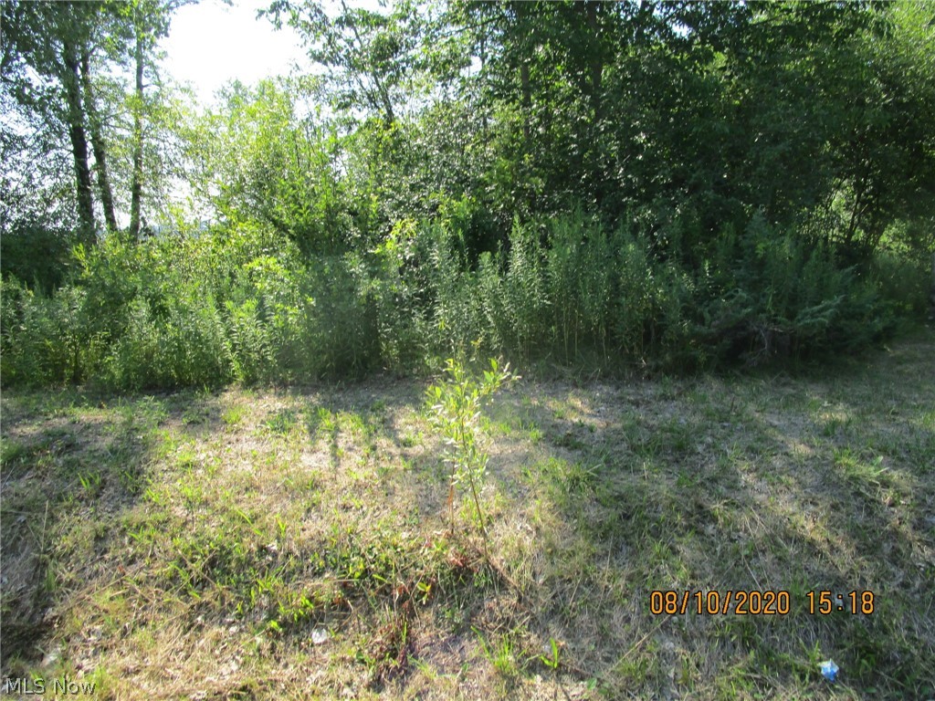 Countyline Road Geneva, OH 44041 - Photo 14 of 20