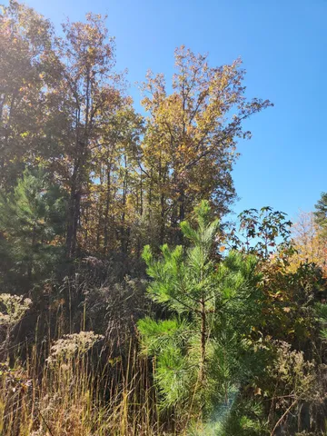 $199,000 | 200 Salolee Lane, Unit 256, South Pittsburg, TN 37380