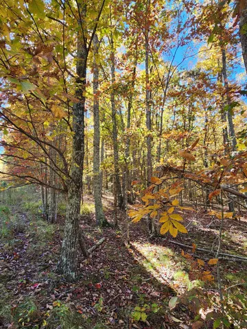 $199,000 | 200 Salolee Lane, Unit 256, South Pittsburg, TN 37380