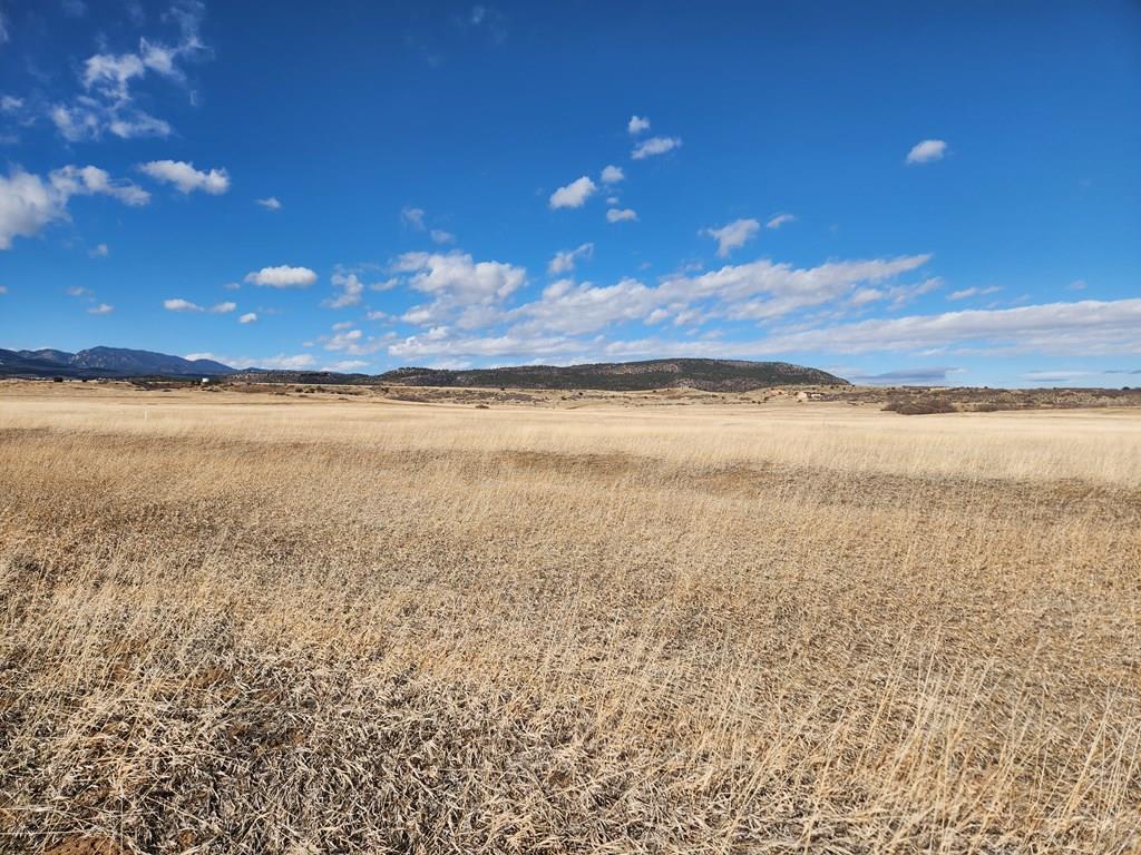 Tbd Moon Drive Rye, CO 81069 - Photo 3 of 7
