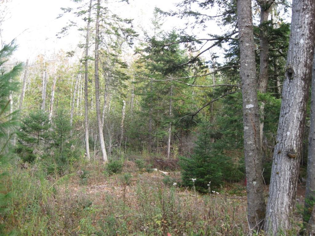 699 Dexter Road Corinna, ME 04928 - Photo 11 of 19 Photo