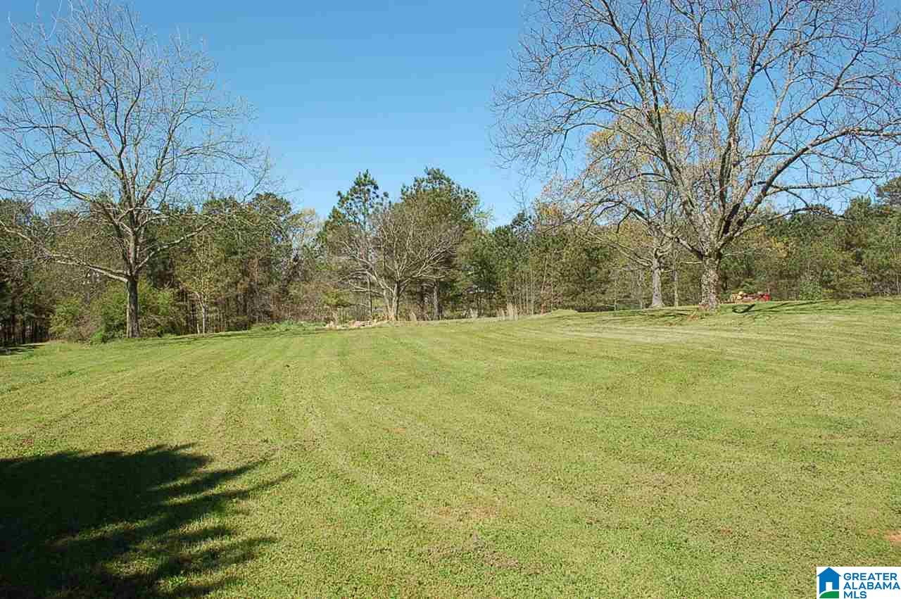2986 Corner Road Warrior, AL 35180 - Photo 5 of 31 Gallery Image 5