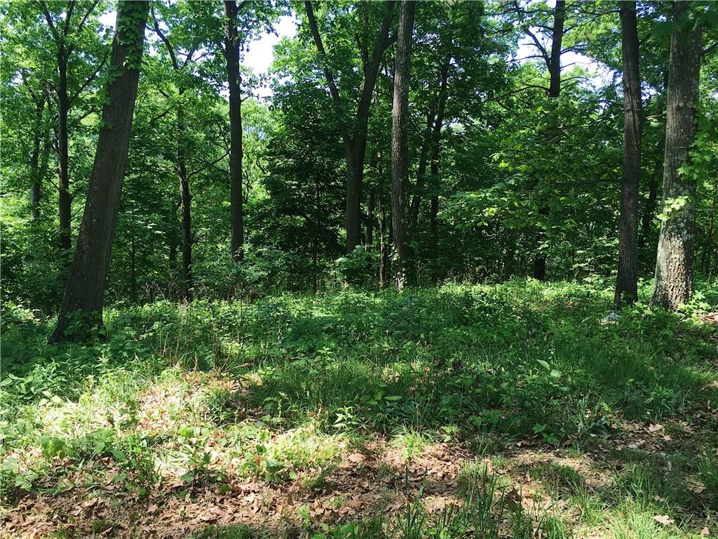 2859 Brodhead Road Aliquippa, PA 15001 - Photo 21 of 23 Backyard trees create a feeling of privacy.
