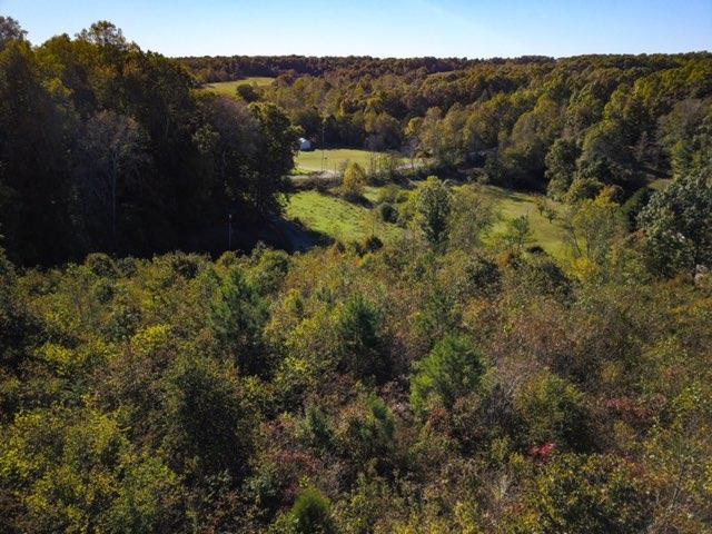 0 Defeated Creek Road Centerville, TN 37033 - Photo 3 of 10 Gallery Image 3