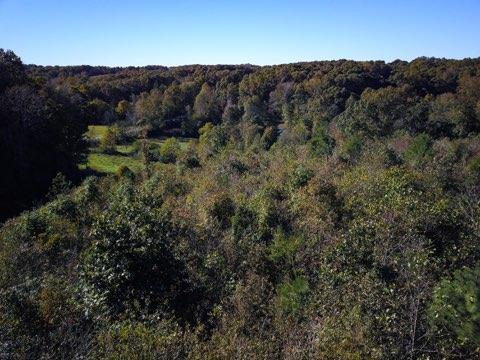 0 Defeated Creek Road Centerville, TN 37033 - Photo 7 of 10 Gallery Image 7