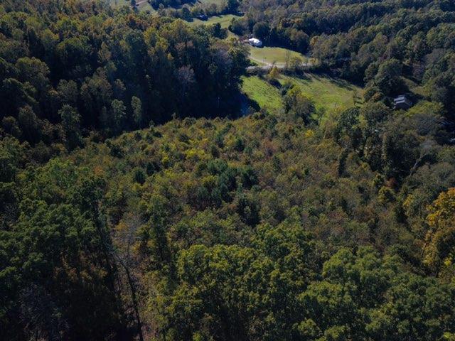 0 Defeated Creek Road Centerville, TN 37033 - Photo 8 of 10 Gallery Image 8