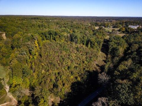 0 Defeated Creek Road Centerville, TN 37033 - Photo 9 of 10 Gallery Image 9