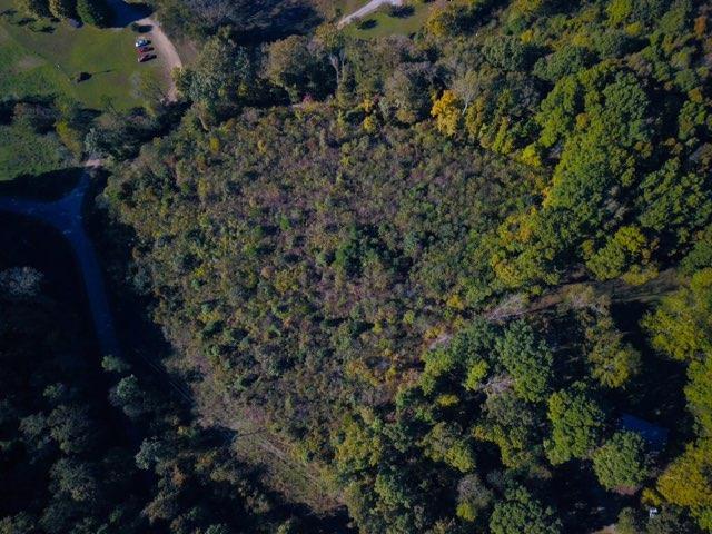 0 Defeated Creek Road Centerville, TN 37033 - Photo 10 of 10 Gallery Image 10