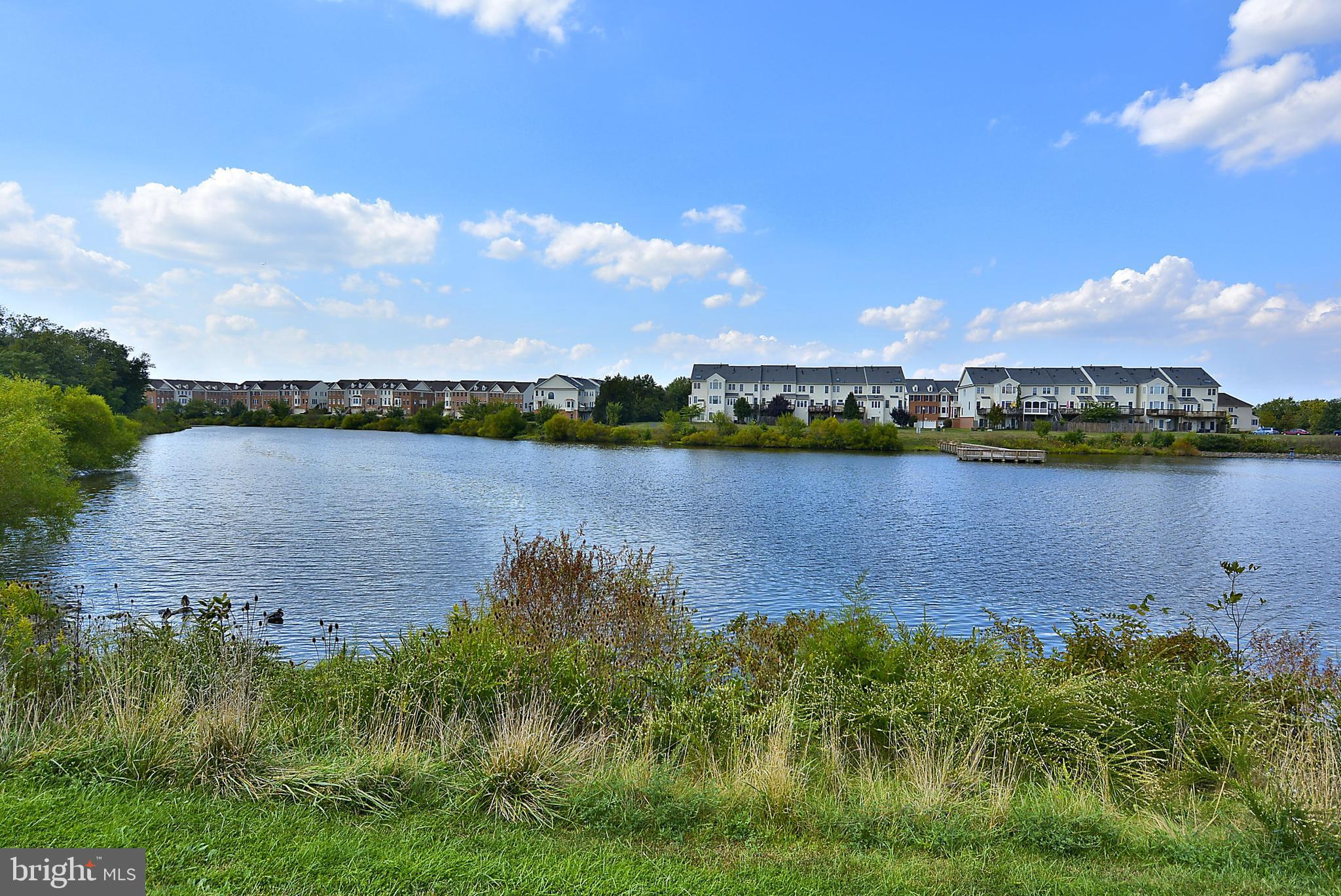 25309 Crossfield Drive Chantilly, VA 20152 - Photo 41 of 41