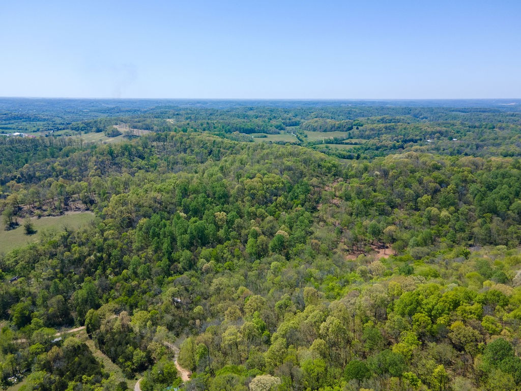 0 Williams Road Cornersville, TN 37047 - Photo 6 of 7 Gallery Image 6