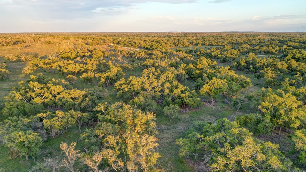 0 Stevens Ranch Road Harper, TX 78631 - Photo 2 of 31 an aerial view of residential houses with outdoor space and trees