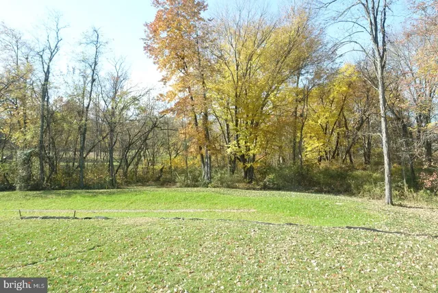 a view of a park with large trees