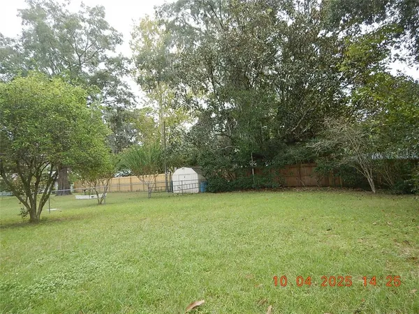 a view of a field with a tree