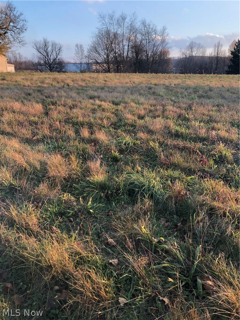 Seville Road Wadsworth, OH 44281 - Photo 2 of 3 Gallery Image 2