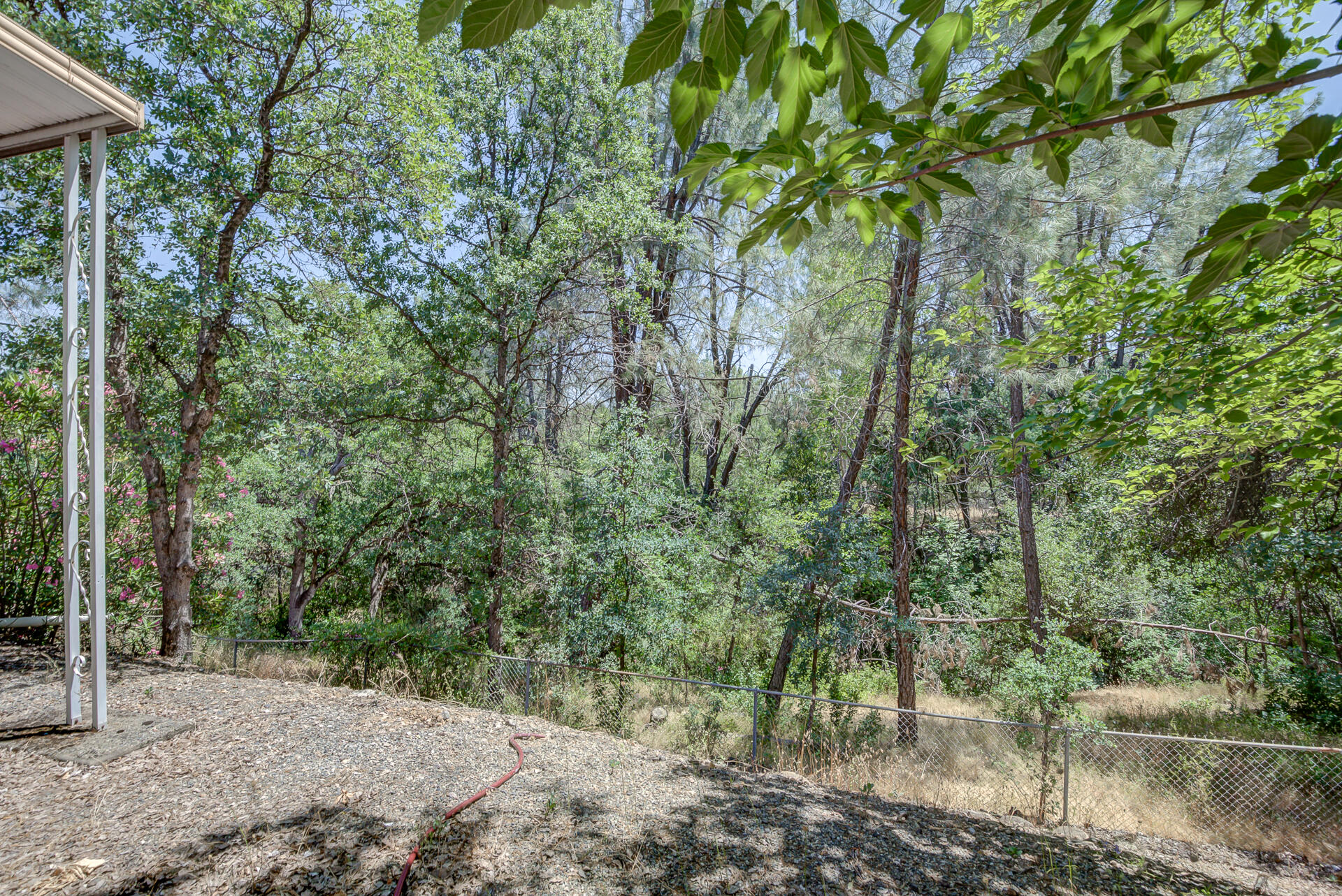 821 St Marks Street, Unit 1 Redding, CA 96003 - Photo 22 of 26 a view of a forest filled with trees