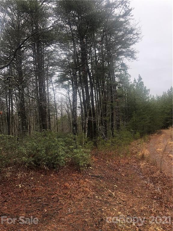 0 Henry Ruff Rd Mill Spring Mill Spring, NC 28756 - Photo 2 of 5