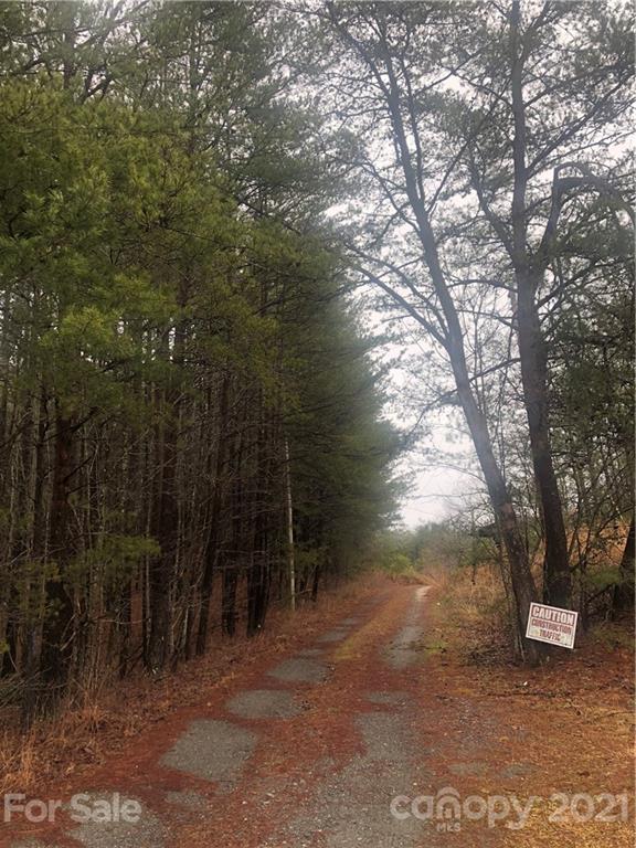 0 Henry Ruff Rd Mill Spring Mill Spring, NC 28756 - Photo 5 of 5