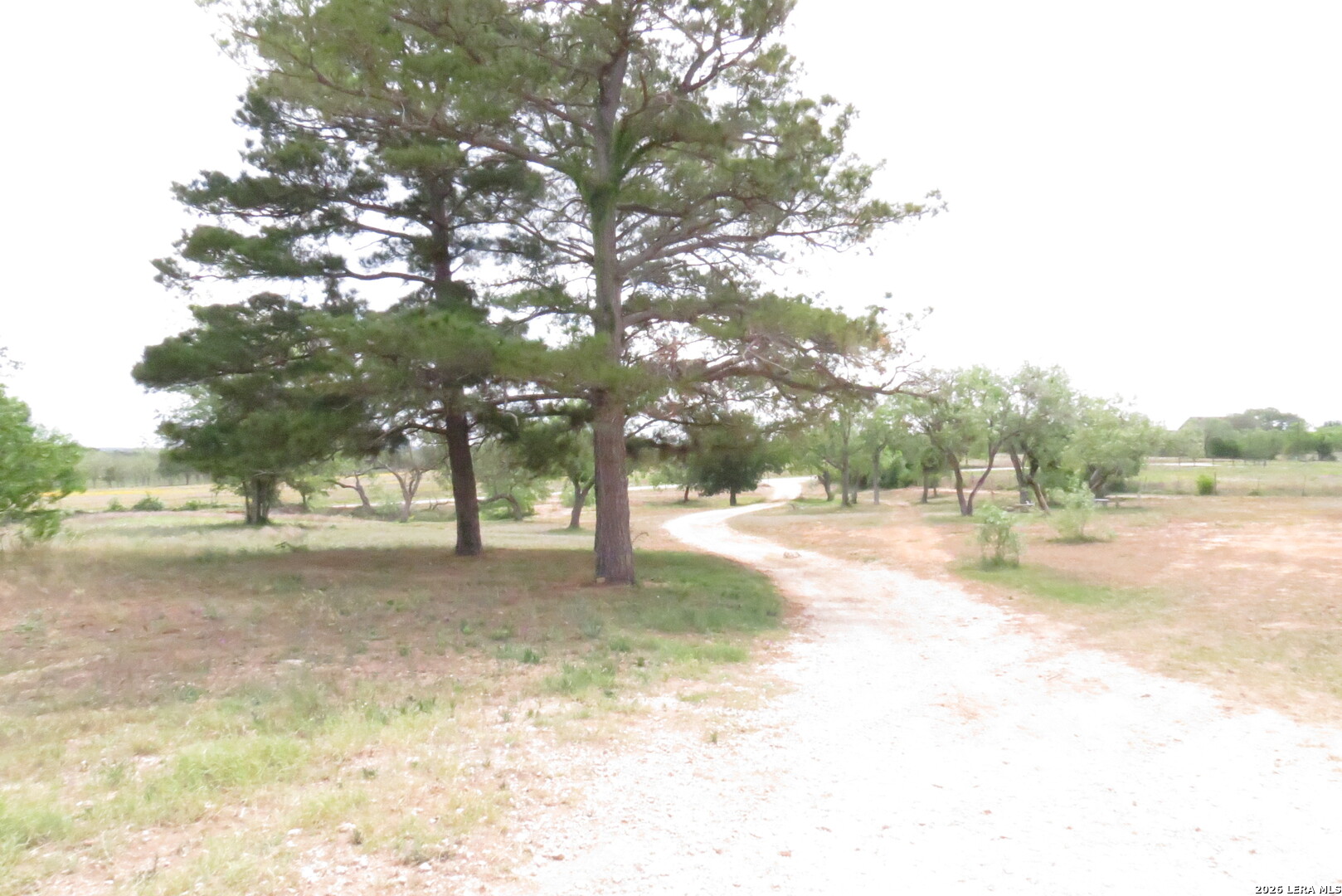 2126 Church Road Seguin, TX 78155 - Photo 3 of 36