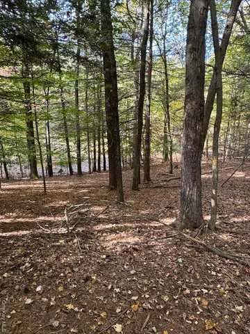 a view of outdoor space with lots of trees