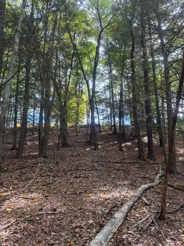 a view of a lake with houses