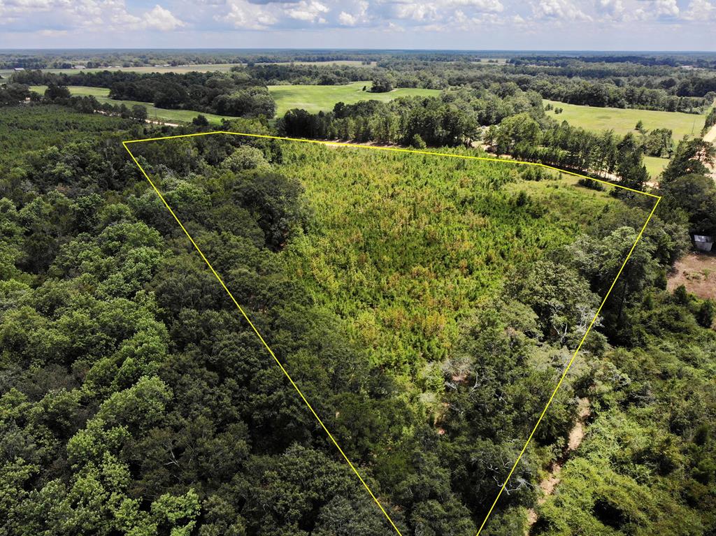 5-acres Old Elba Road Coffee Springs, AL 36318 - Photo 18 of 18