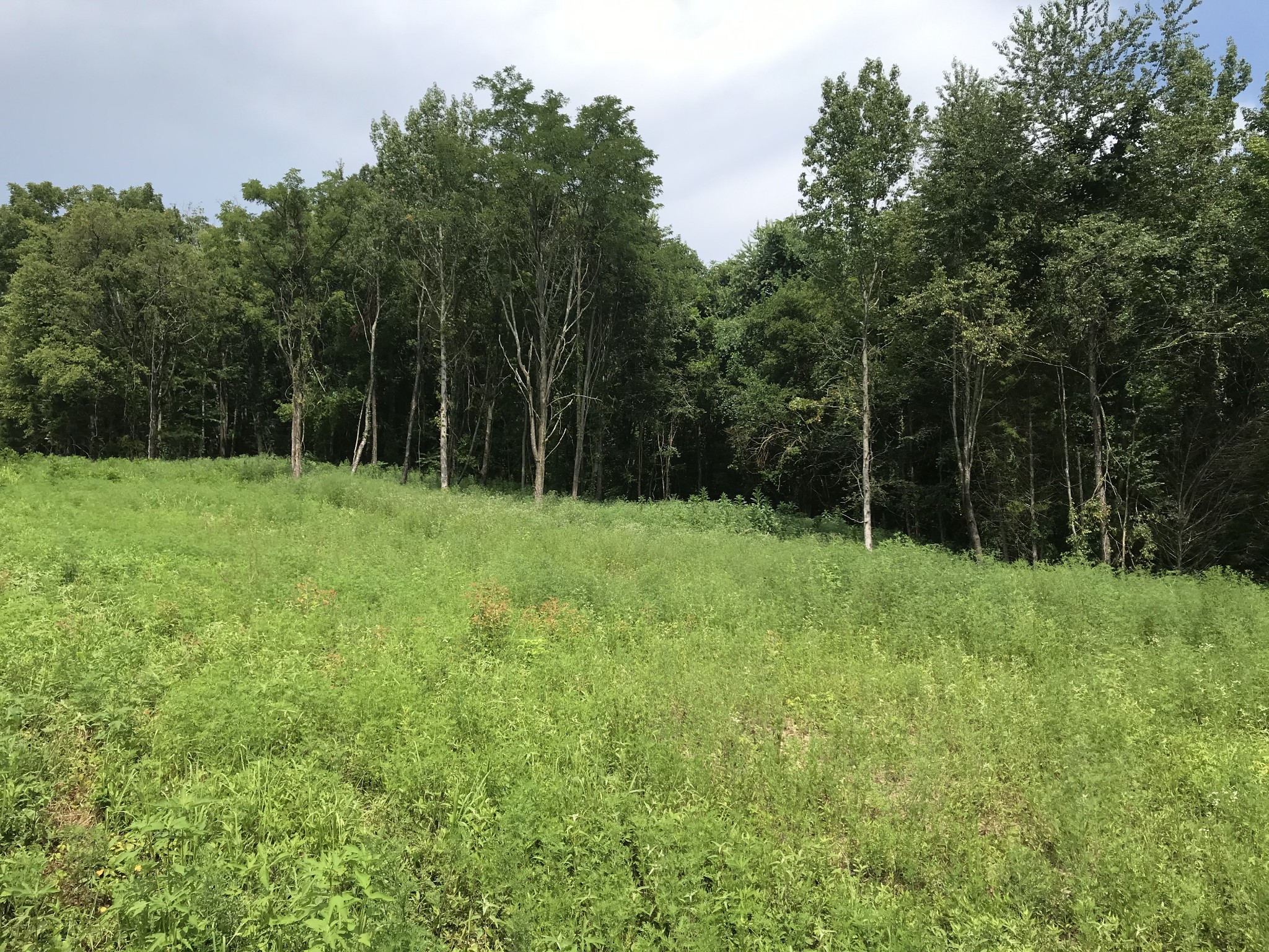 1 Webb Road Eagleville, TN 37060 - Photo 1 of 29 Gallery Image 1