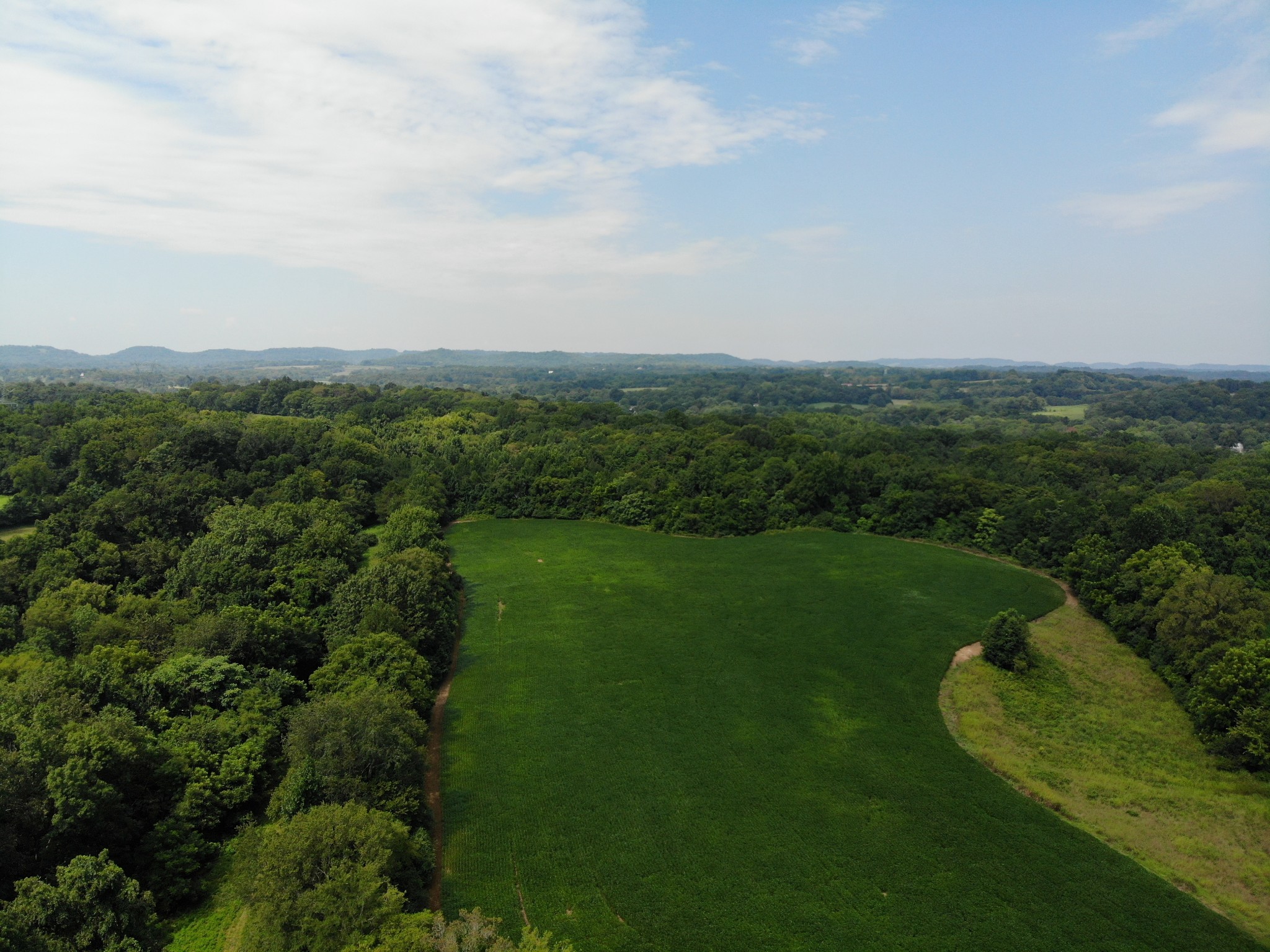 1 Webb Road Eagleville, TN 37060 - Photo 14 of 29 Gallery Image 14