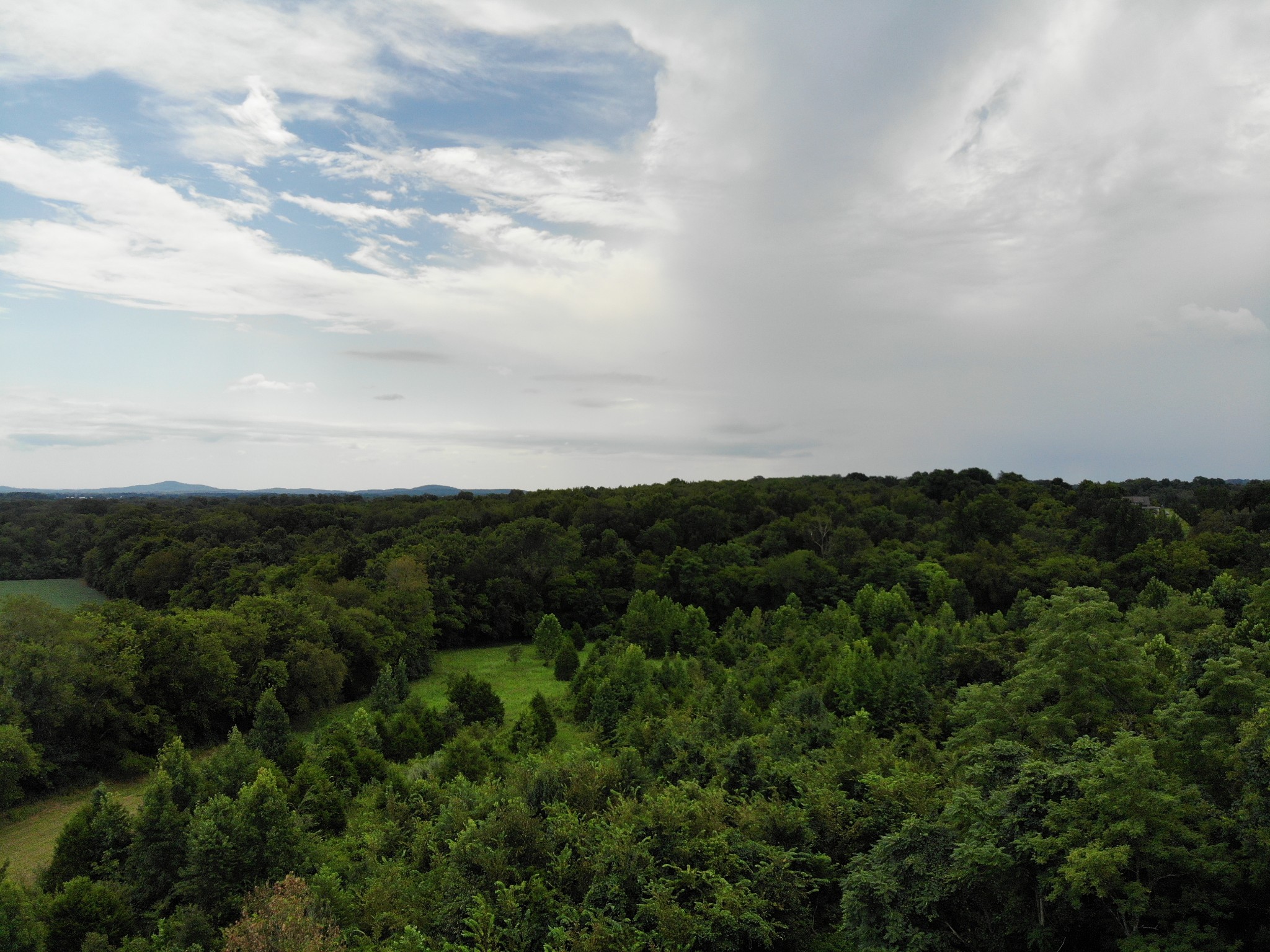 1 Webb Road Eagleville, TN 37060 - Photo 22 of 29 Gallery Image 22