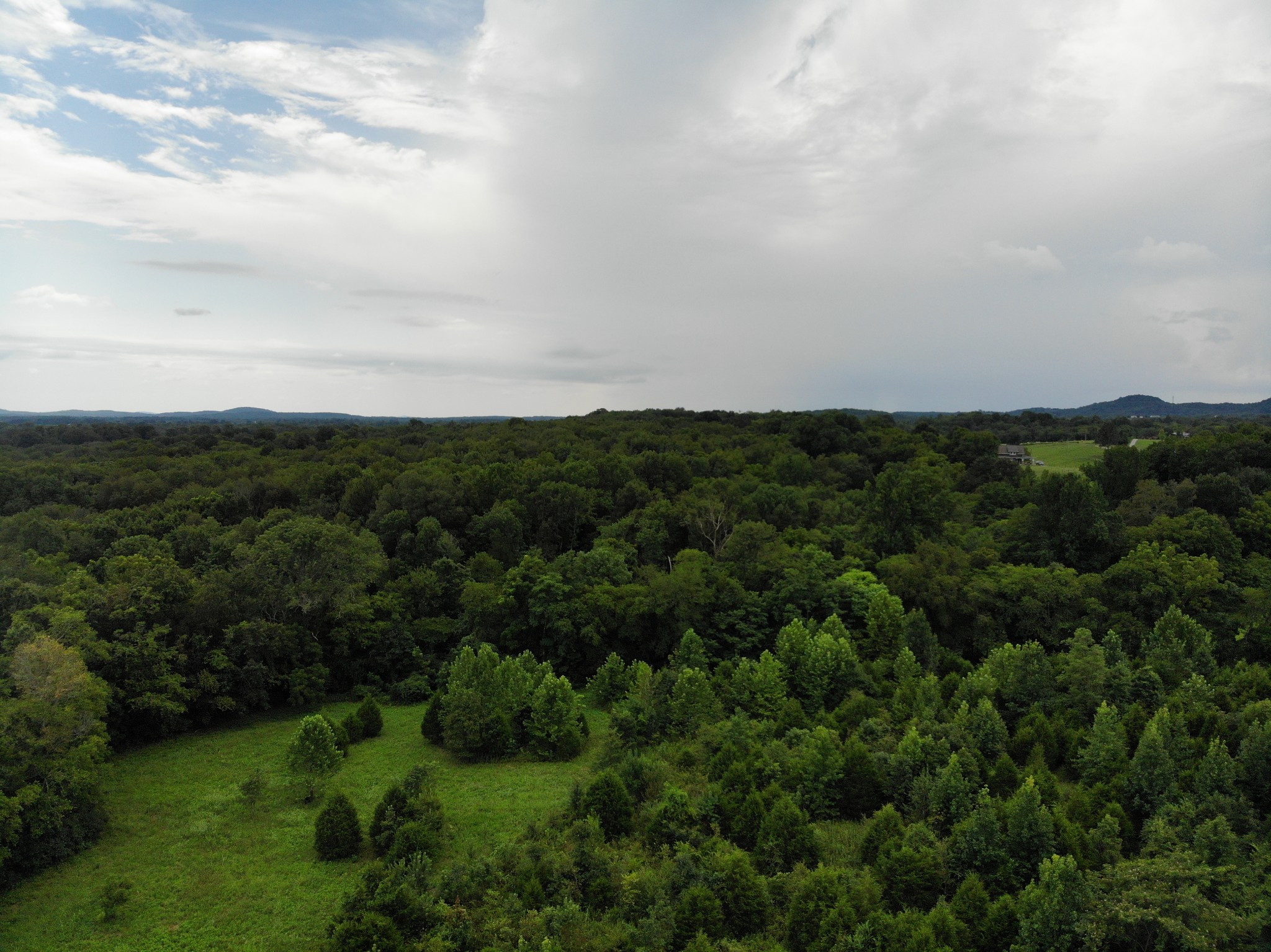 1 Webb Road Eagleville, TN 37060 - Photo 23 of 29 Gallery Image 23