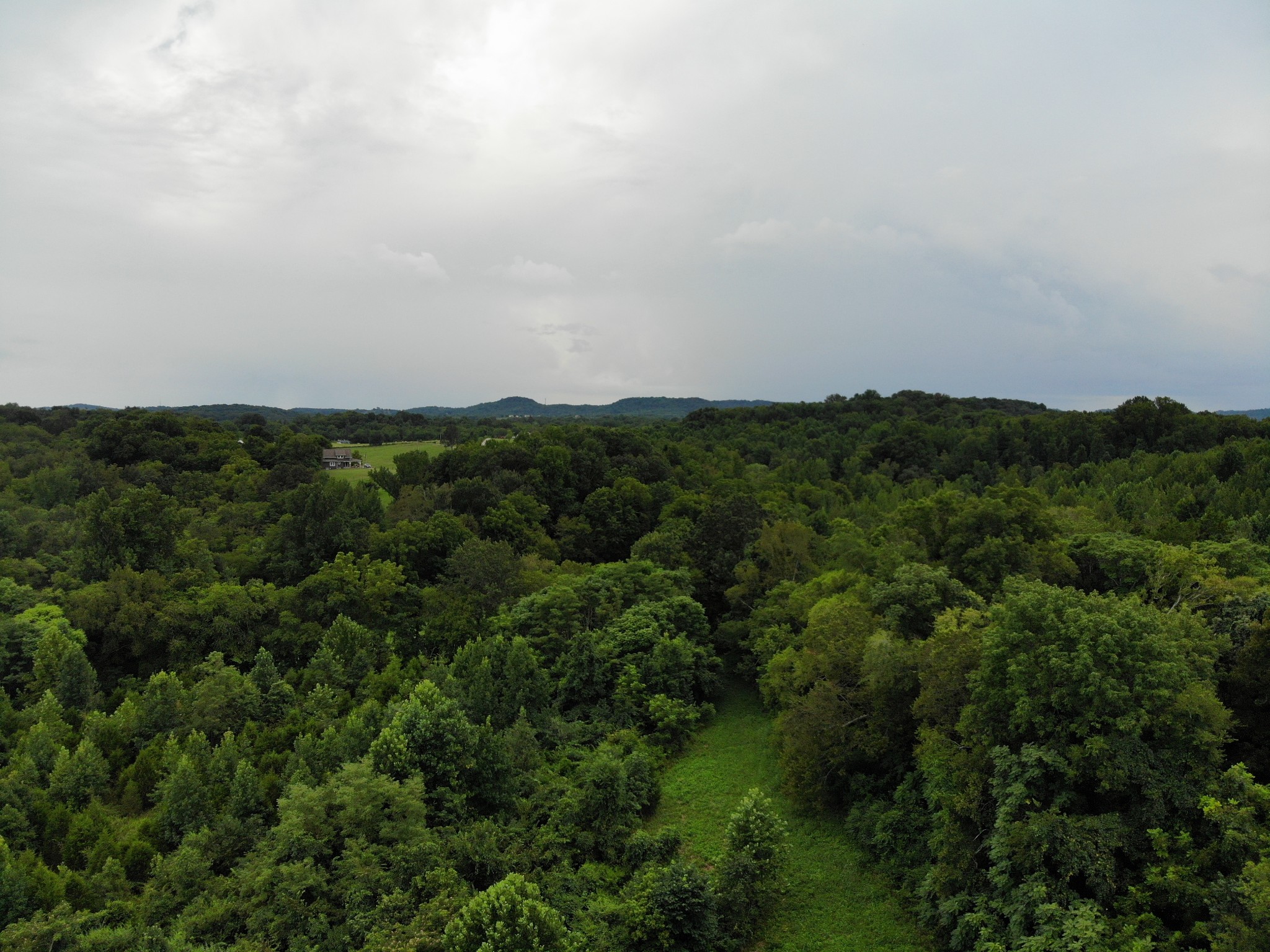 1 Webb Road Eagleville, TN 37060 - Photo 24 of 29 Gallery Image 24