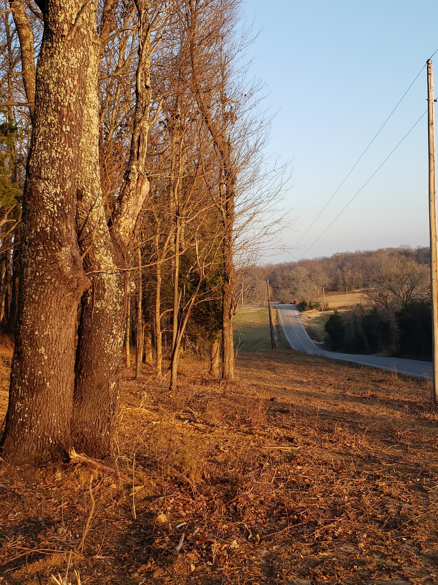 1 Webb Road Eagleville, TN 37060 - Photo 5 of 29 Gallery Image 5
