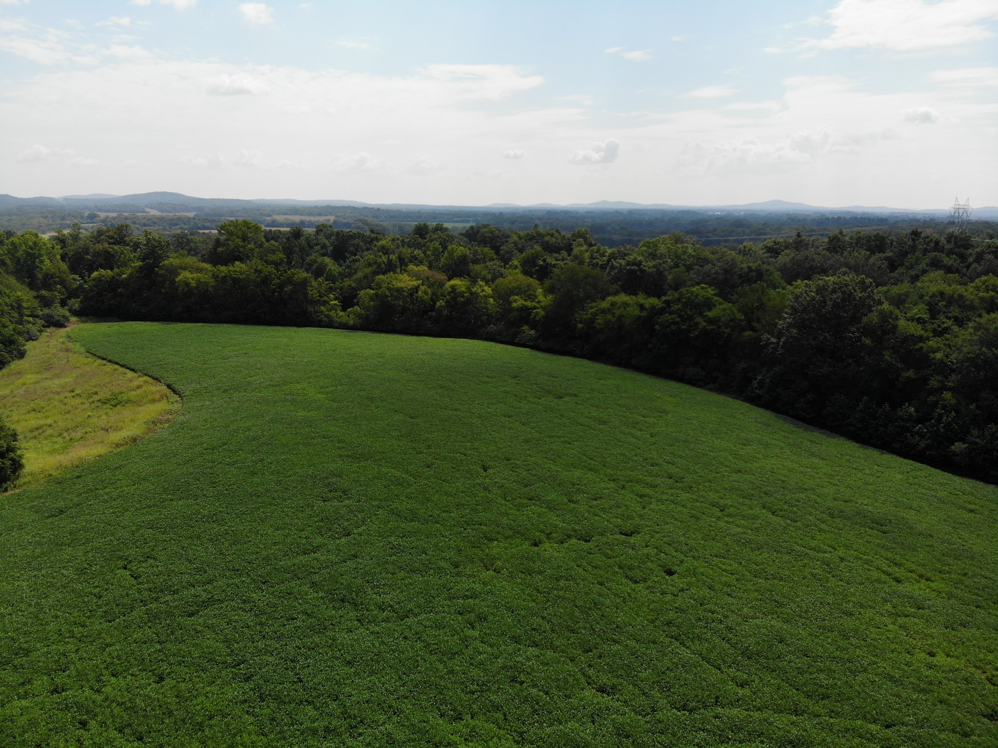 1 Webb Road Eagleville, TN 37060 - Photo 9 of 29 Gallery Image 9