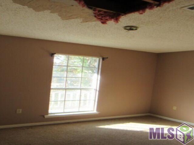 4131 Country View Drive Baton Rouge, LA 70817 - Photo 10 of 12 Gallery Image 10