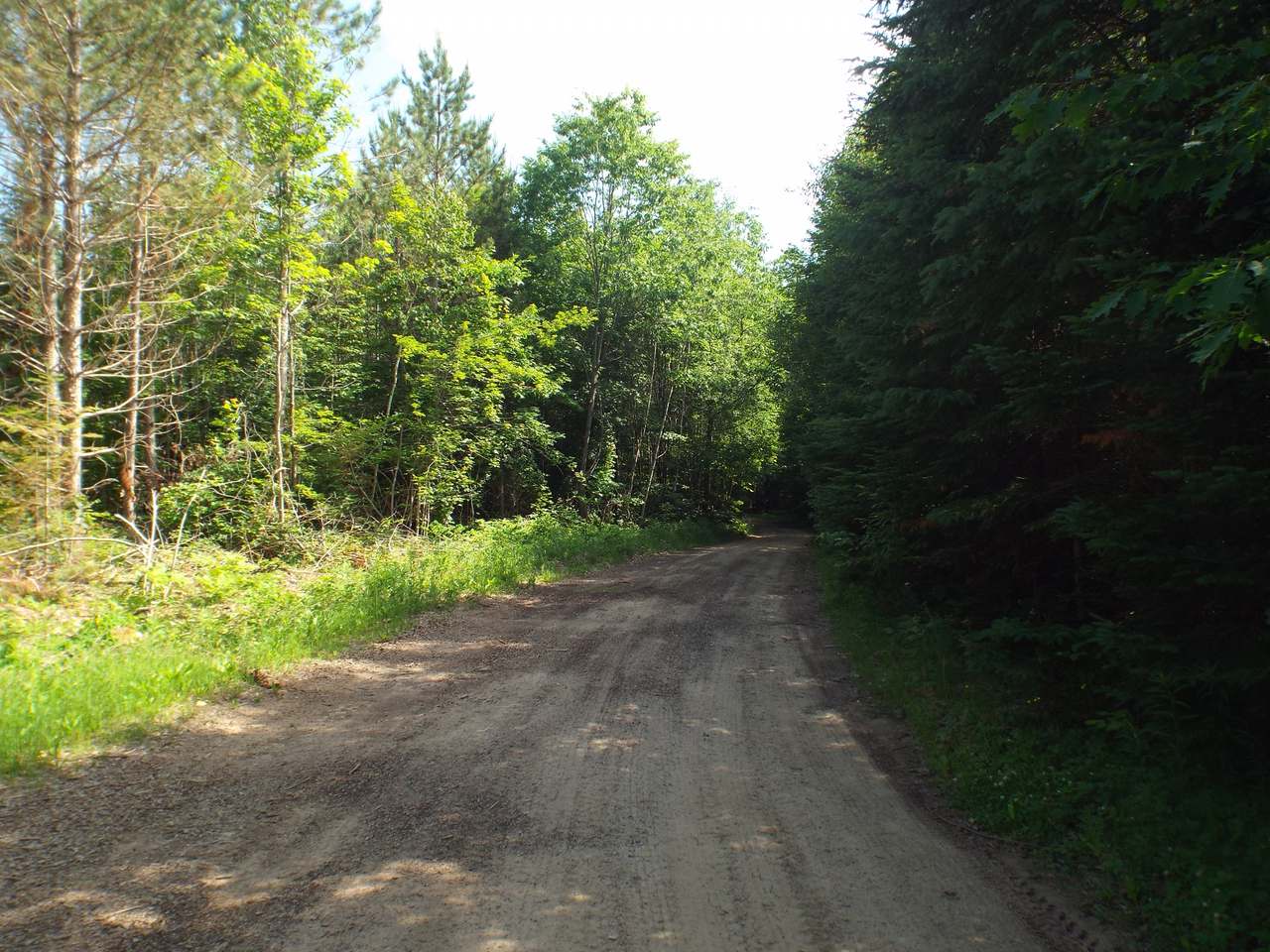 3060 Ed's Lake Road Crandon, WI 54520 - Photo 34 of 38 Gallery Image 34