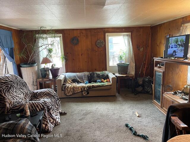 676 Highway 145 Cairo, NY 12413 - Photo 3 of 25 a living room with furniture and a flat screen tv