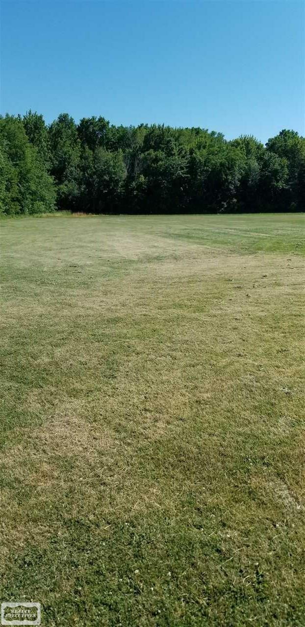 13847 Masters Road Allenton, MI 48002 - Photo 35 of 37