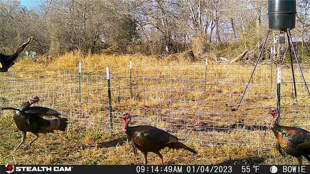 $314,500 | 0 Cr 304, Jourdanton, TX 78026