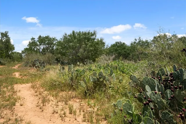$314,500 | 0 Cr 304, Jourdanton, TX 78026