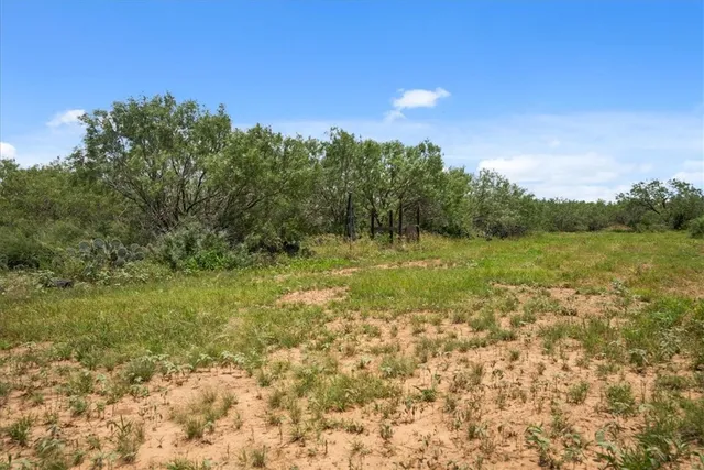 $314,500 | 0 Cr 304, Jourdanton, TX 78026