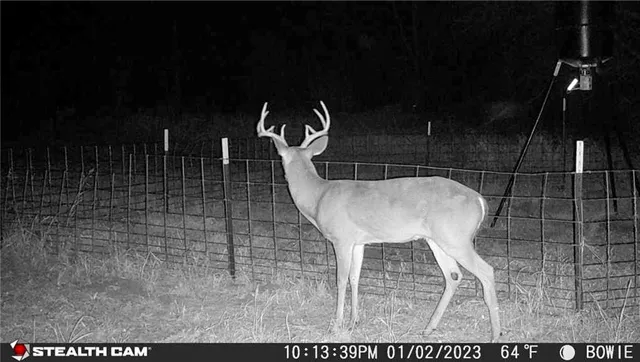 $314,500 | 0 Cr 304, Jourdanton, TX 78026