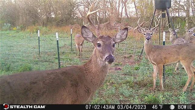 $314,500 | 0 Cr 304, Jourdanton, TX 78026