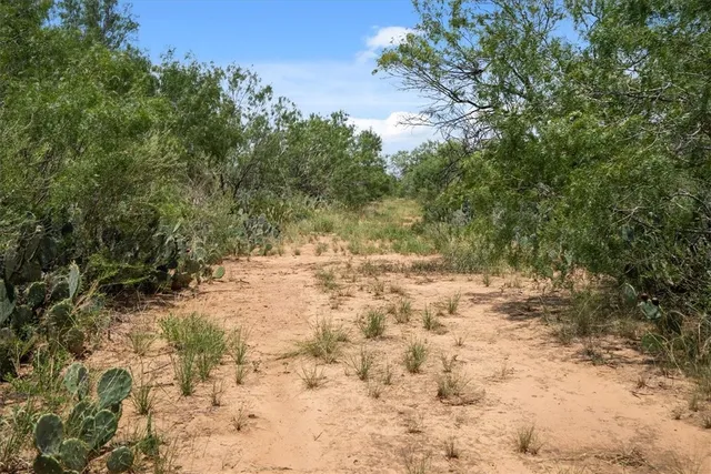 $314,500 | 0 Cr 304, Jourdanton, TX 78026