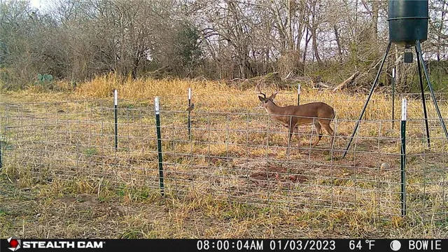 $314,500 | 0 Cr 304, Jourdanton, TX 78026