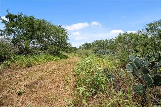 $314,500 | 0 Cr 304, Jourdanton, TX 78026