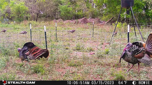 $314,500 | 0 Cr 304, Jourdanton, TX 78026