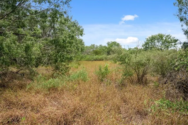 $314,500 | 0 Cr 304, Jourdanton, TX 78026