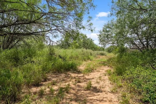 $314,500 | 0 Cr 304, Jourdanton, TX 78026